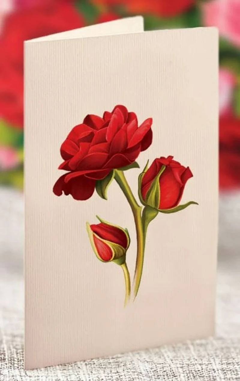 Blooming Roses Pop-Up Card - Large