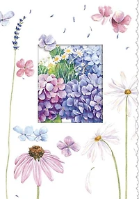 Daises Hydrangea Get Well Soon Card