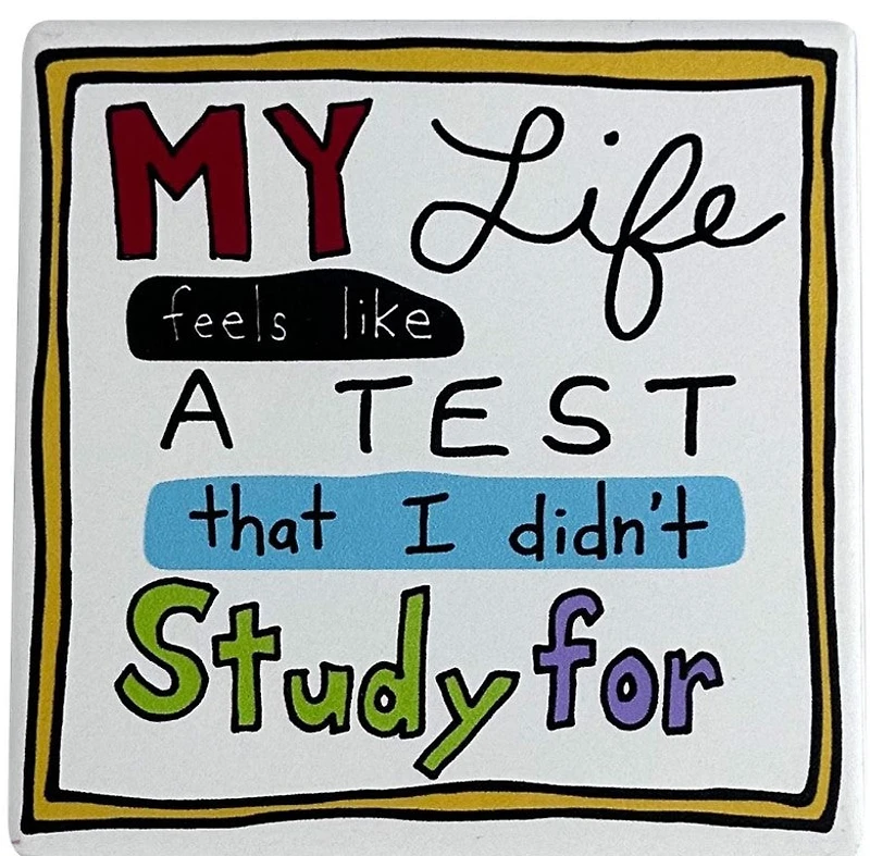 My Life is a Test Coaster