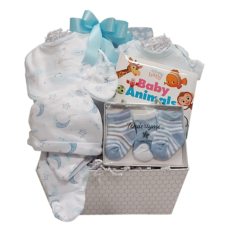 Baby Boy Sweet Arrival Gift Basket