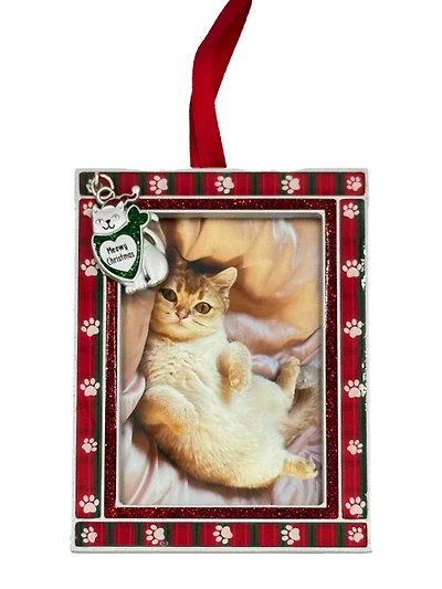 Frame Ornament - Cat - Meowy Christmas