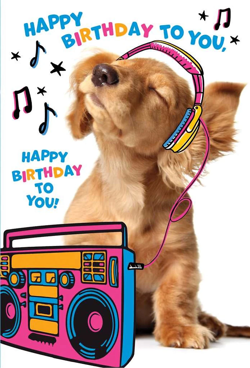 Happy Birthday to You - Puppy Greeting Card