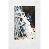 Country Flyer Greeting Card