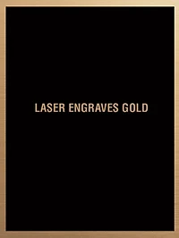 Black/Gold BPS Simplicity