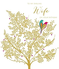 To My Darling Wife on Her Birthday Card