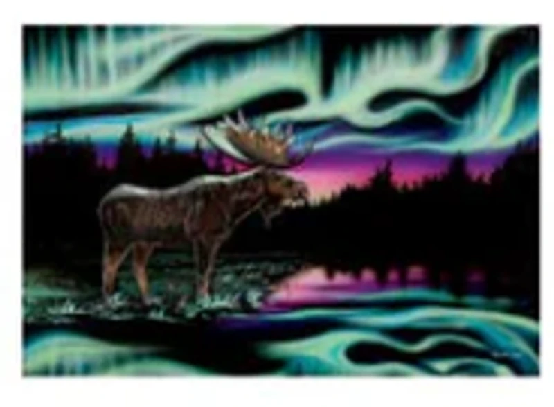 "Sky Dance-King of the North" Note Card