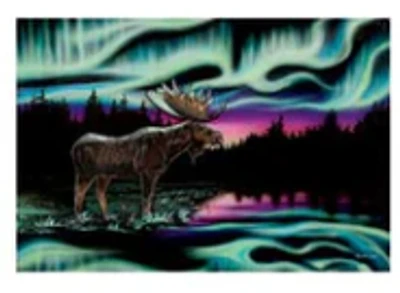 "Sky Dance-King of the North" Note Card