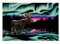 "Sky Dance-King of the North" Note Card