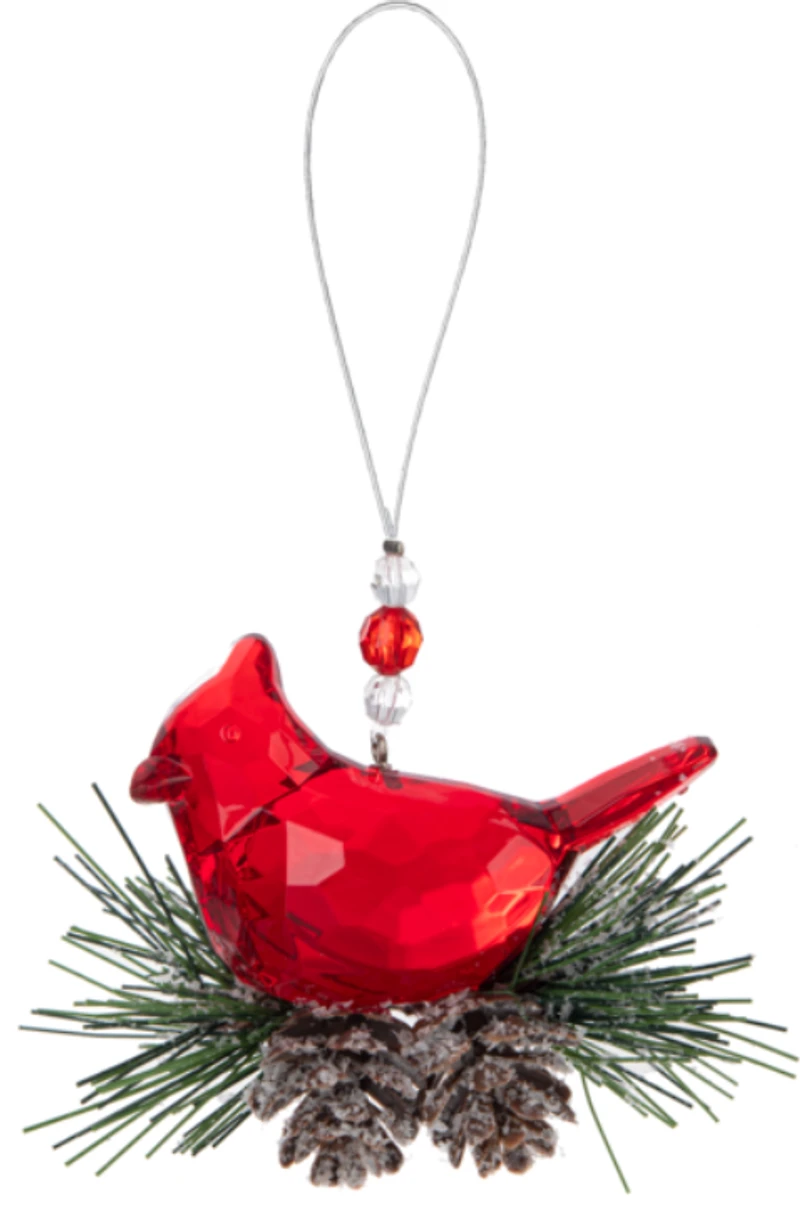 Winter Pine Cardinal