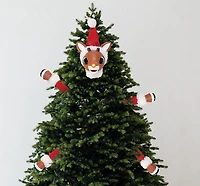 Rudolph in a Cinch