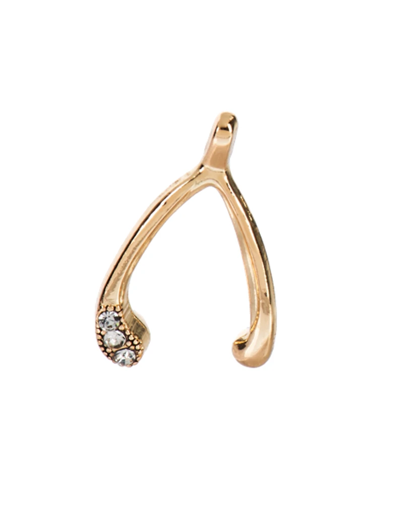 Lucky Wishbone Charm