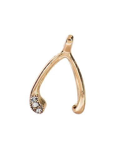 Lucky Wishbone Charm