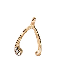 Lucky Wishbone Charm