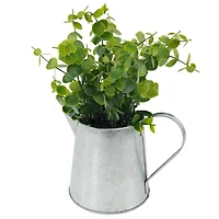 Plant in Watering Can