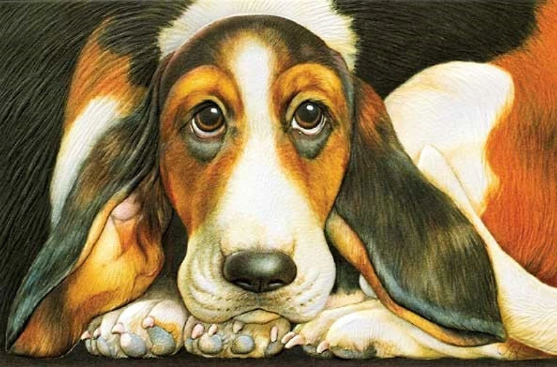 Pumpernickel Press Basset Hound Get Well Card