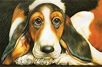 Pumpernickel Press Basset Hound Get Well Card