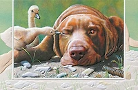 Pecking Order Thinking of You Card