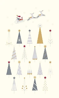 Santa Sleigh Christmas Card