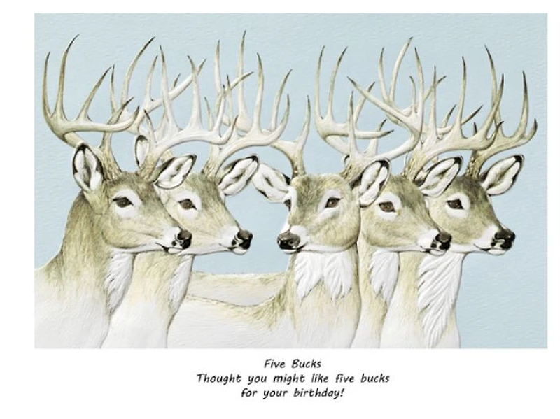 Pumpernickel Five Bucks Birthday Card