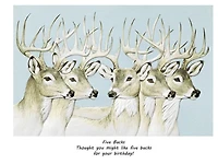 Pumpernickel Five Bucks Birthday Card