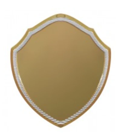 Gold Shield Plaque