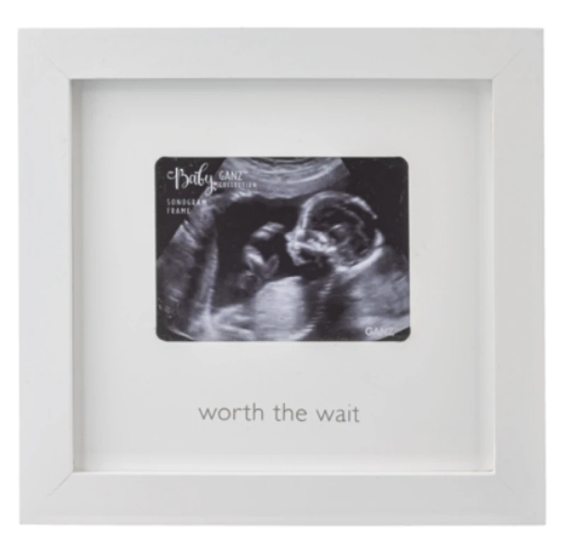 Sonogram Frame - Worth the Wait
