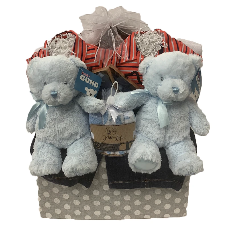 Twin Boys Baby Basket 220
