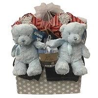 Twin Boys Baby Basket 220