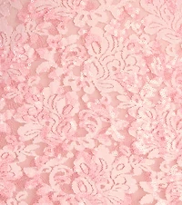 Maryam Sequin Lace A-Line Mini Dress