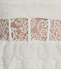 Rochelle Ruffled Sheer Lace Formal Mini Dress