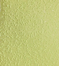 Penny Sequin Beaded Mesh Cutout Mini Dress