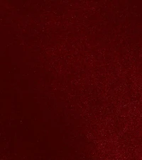 Lizza Cowl Neck Slit Mermaid Velvet Formal Dress