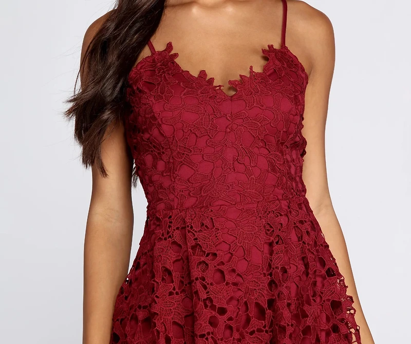 Crochet Lace Skater Dress
