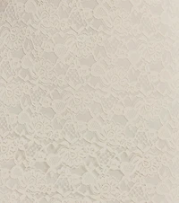 Something Chic V-Neck Lace Ruffle Mini Dress