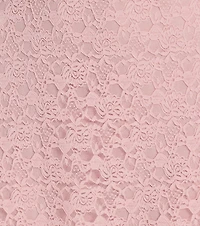 Ray Of Romance A-Line Lace Mini Dress