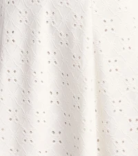 Daytime Darling Eyelet Mini Dress