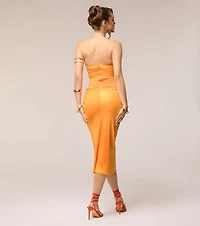 Spice Done Right Mesh Midi Dress