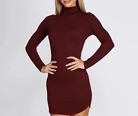 Turtleneck Long Sleeve Ribbed Knit Mini Dress