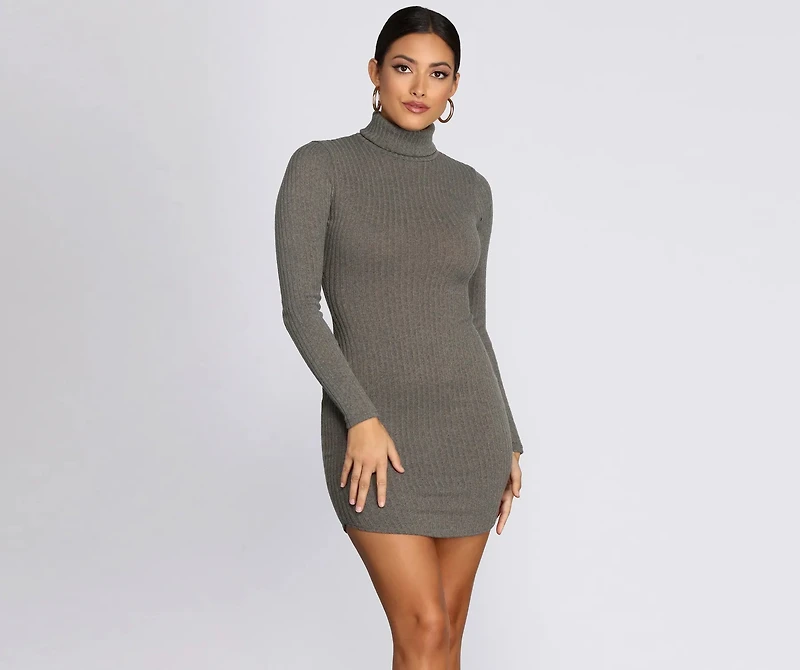 Turtleneck Long Sleeve Ribbed Knit Mini Dress