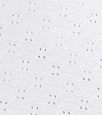 Lovely Eyelet A-Line Mini Dress