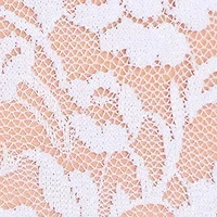 Dainty And Divine Sheer Lace Bodycon Ruffle Mini Dress