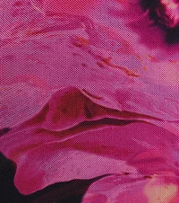 Sultry Presence Abstract Floral Mini Dress