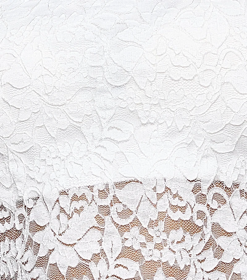 Chic Fave Sheer Lace Tube Top