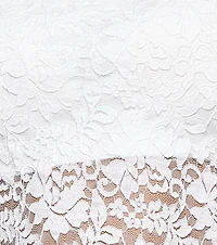 Chic Fave Sheer Lace Tube Top