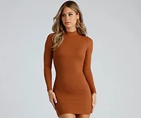 Basic Ribbed Knit Long Sleeve Mini Dress