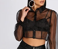 Sheer And Chic Collared Crop Top