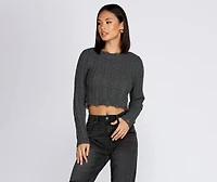 Snug Bug Knit Crop Top