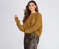 Soft and Snug Crop Sweater