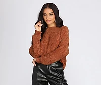 Soft and Snug Crop Sweater
