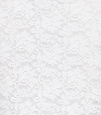 Better Lace Bodycon Maxi Skirt